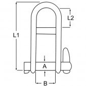 5mm D Shackle Forged Key Pin And Halyard Bar - Stainless Steel
