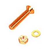 M6 x 40mm Countersunk Brass Machine Screw 2 Pack