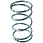 Allen Large Stainless Steel Spring
