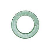 M12 S/S Spring Washer 10 Pack