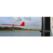 Hawk Race Wind Indicator