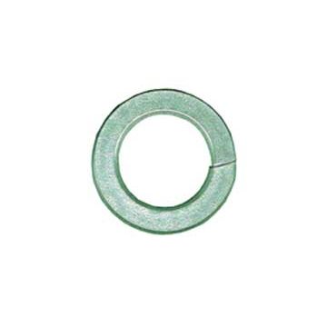 M12 S/S Spring Washer 4 Pack